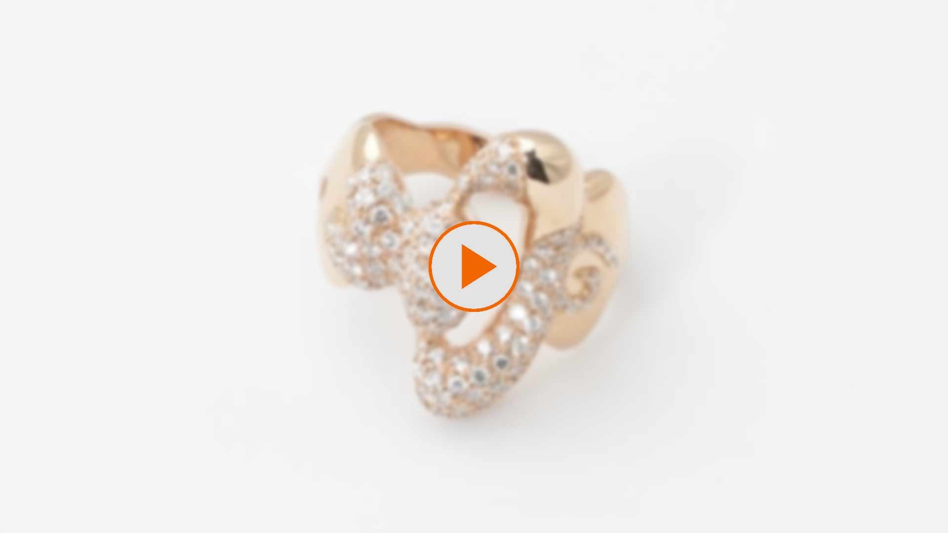 Anteprima video anello ForEverHug Me