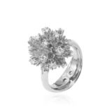 Ricci Ring in White Gold