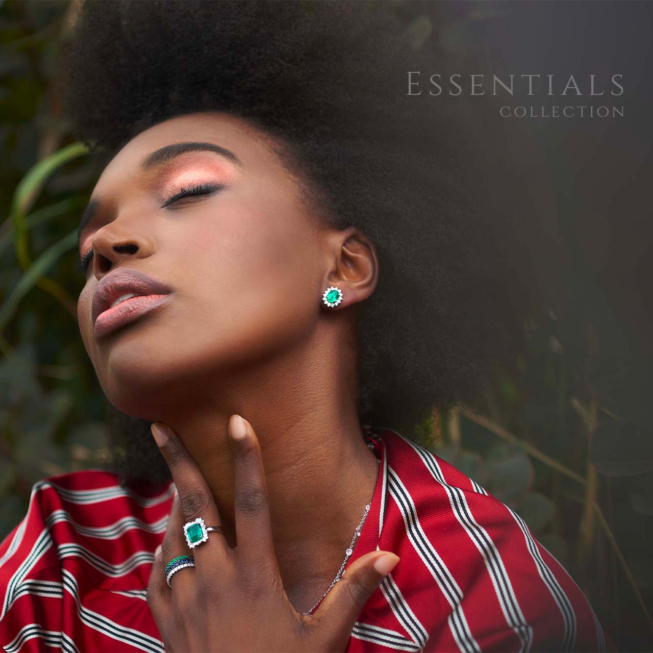 Essentials, Essentials Collection