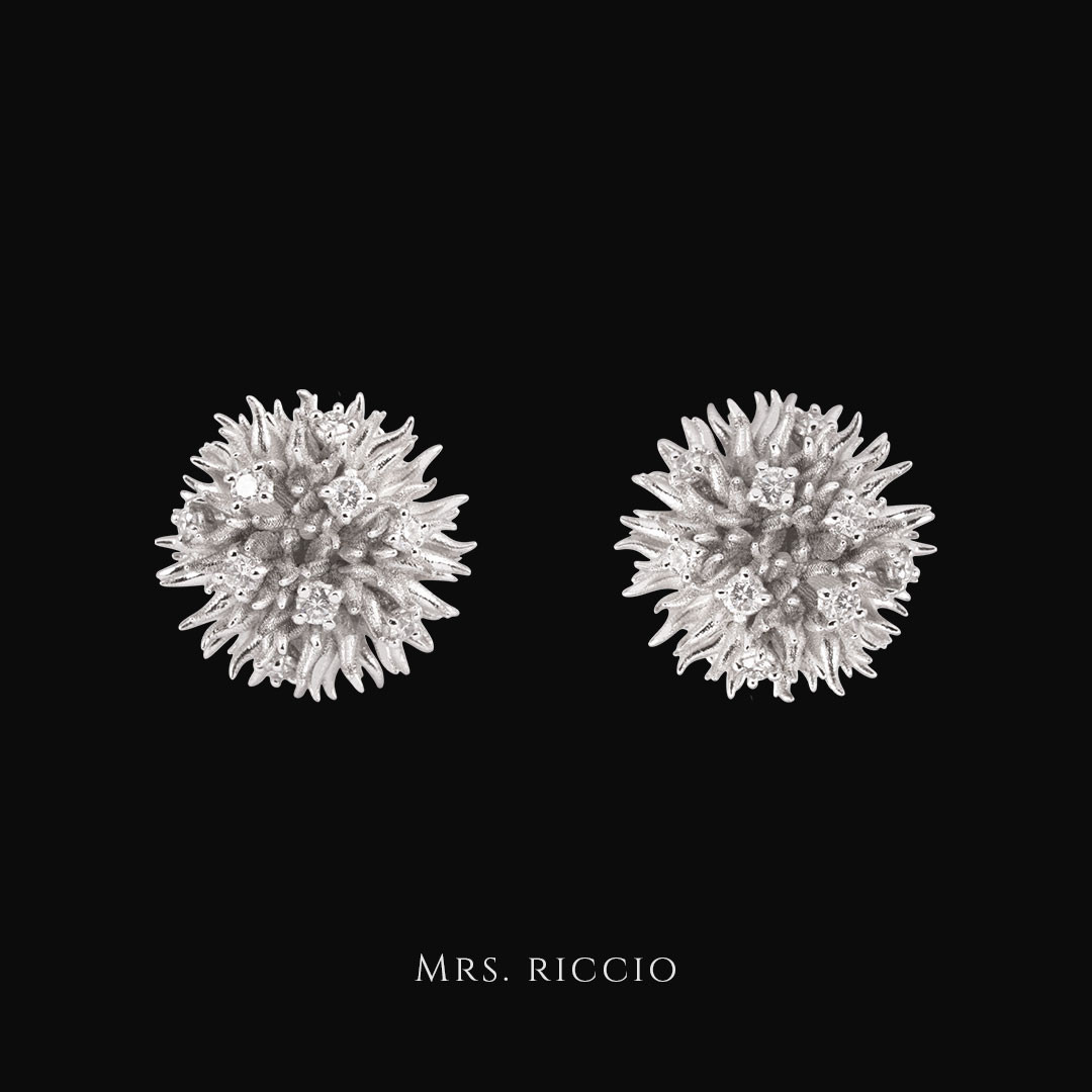 Ricci, I Ricci by D33